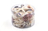 Purple White Coral and Shell Pack